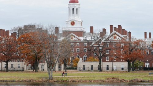 Harvard reports decline in Black, Latino and international student enrollment after clash with Trump administration