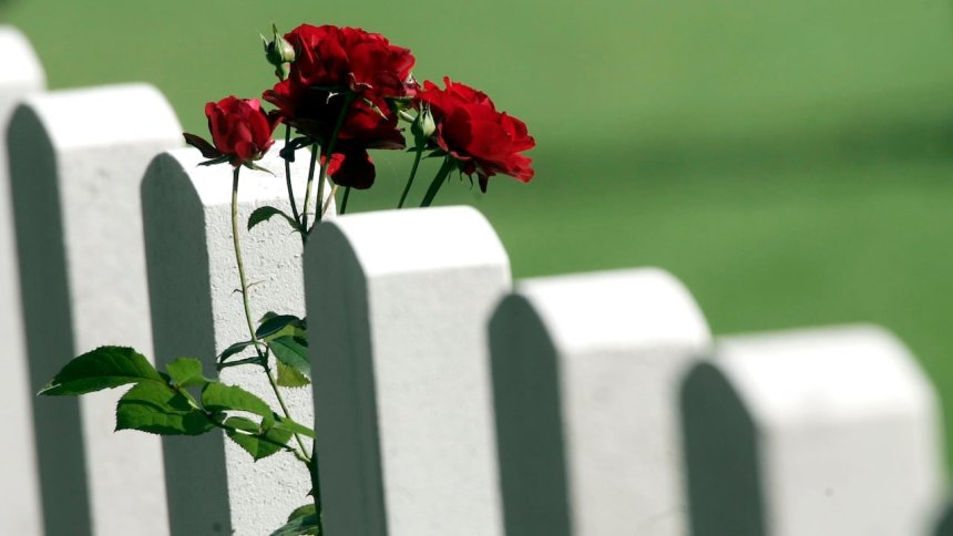 ‘Unacceptable’: Leaders demand permanent memorial for Black WWII soldiers after plaques removed