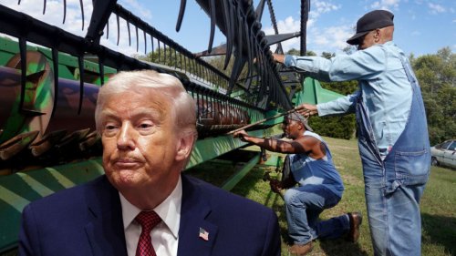 Here’s why Black farmers likely won’t see benefits of Trump’s $12B farmers relief