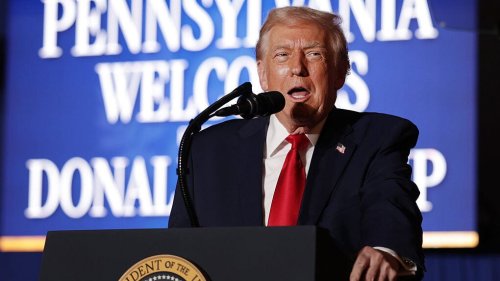 ‘They know a scam better than anybody’: Trump makes off-the-cuff remarks about Black people while defending ‘garbage’ insults