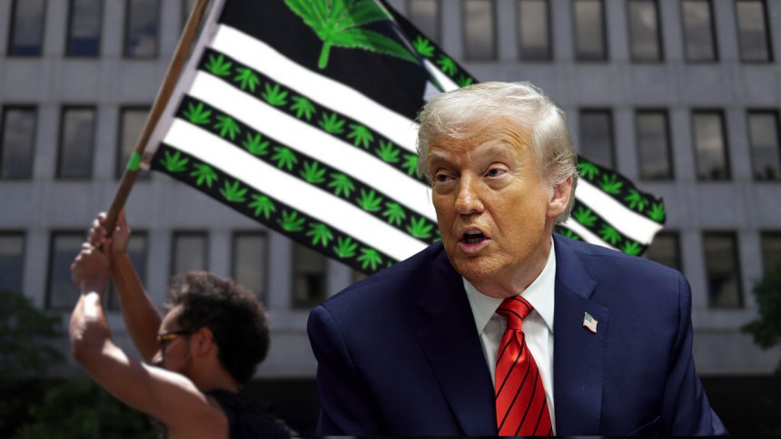 President Trump wants to cut restrictions on marijuana through executive order: report