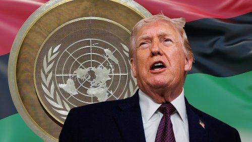 Trump withdrew the U.S. from UN Permanent Forum on People of African Descent. Experts see a more sinister ploy.