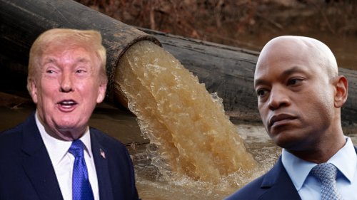 Trump escalates clash with Wes Moore over sewage spill, calls America’s only Black governor ‘incompetant’