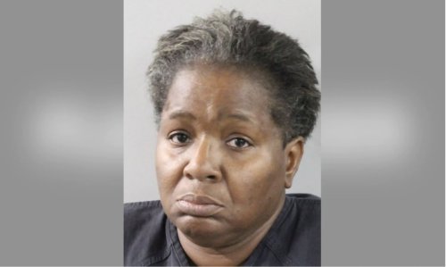 Florida woman accused of posing as child protective services worker in attempted kidnapping