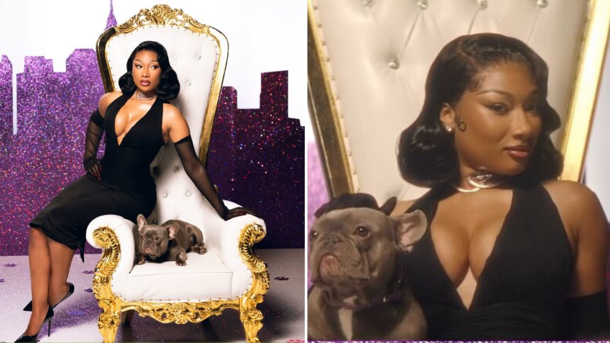 Megan Thee Stallion partners with the Westminster Dog Show