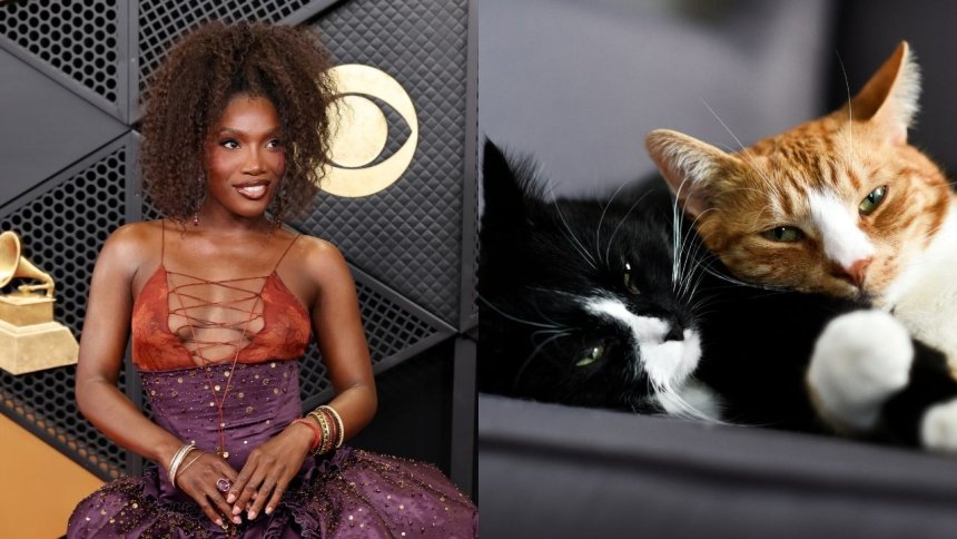 Doechii, like many in the Black community, doesn’t think cats are friendly…but are they wrong?