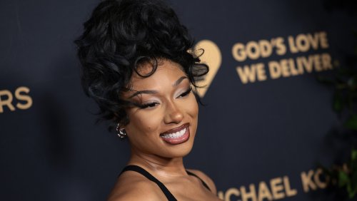 Megan Thee Stallion teams up with Habitat for Humanity to renovate homes for elderly Texans