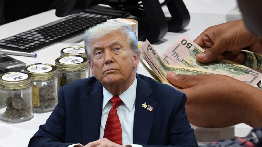 Trump administration’s latest big move on marijuana leaves out Black businesses