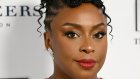 ‘This weight is too heavy’: Chimamanda Ngozi Adichie alleges medical negligence by hospital over her one-year-old son’s death