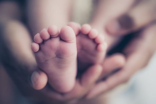 Rare ‘MoMo’ twins who were born hugging each other finally head home after two-month NICU stay