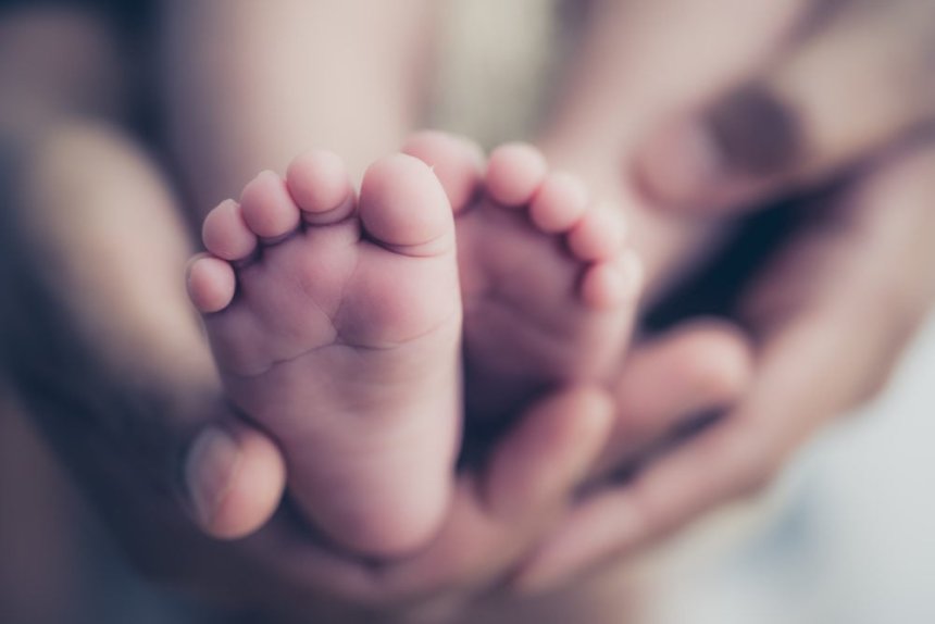 Rare ‘MoMo’ twins who were born hugging each other finally head home after two-month NICU stay
