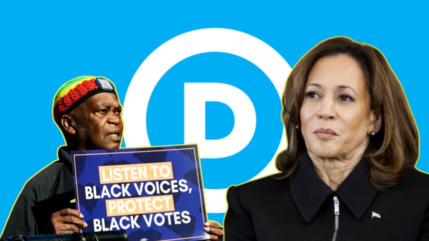 Kamala Harris wants Democrats to be ‘ruthless.’ Experts say it must be on behalf of Black voters