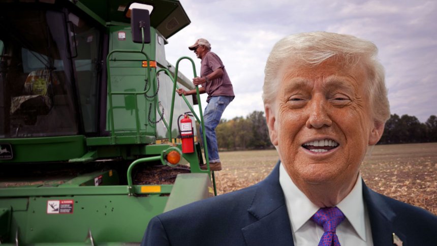 Trump says foreign beef will lower prices. Black farmers warn they’ll pay the price