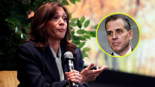 ‘Bless his heart’: Black Democrats defend Kamala Harris after Hunter Biden questions her loyalty to Joe Biden