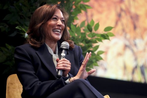 Kamala Harris says ‘you’re not going to take my joy’ or our voting rights ahead of midterms