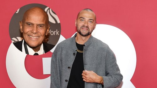 Jesse Williams says activism cost him acting jobs and Harry Belafonte helped him through the backlash