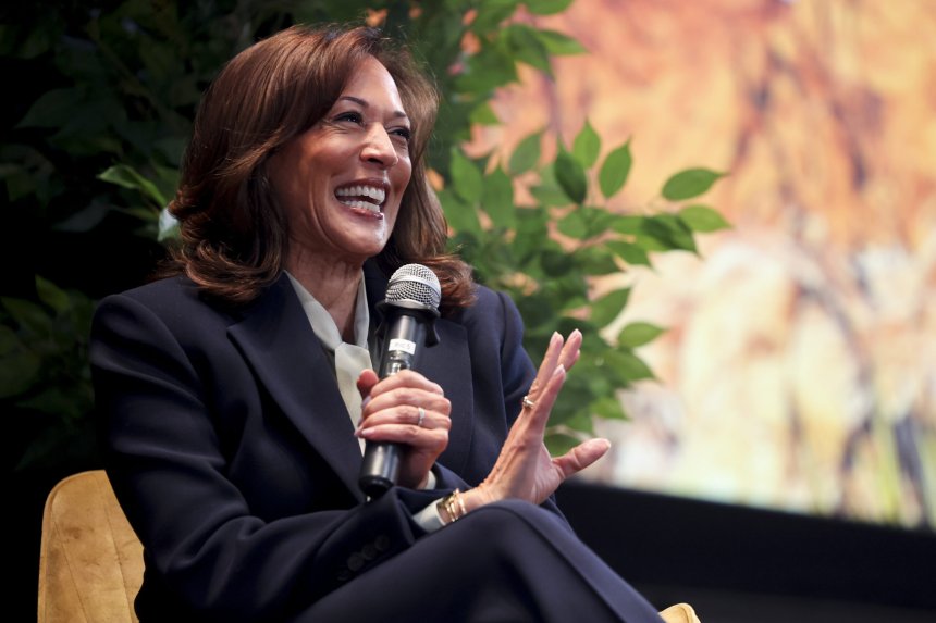 Kamala Harris says ‘you’re not going to take my joy’ or our voting rights ahead of midterms